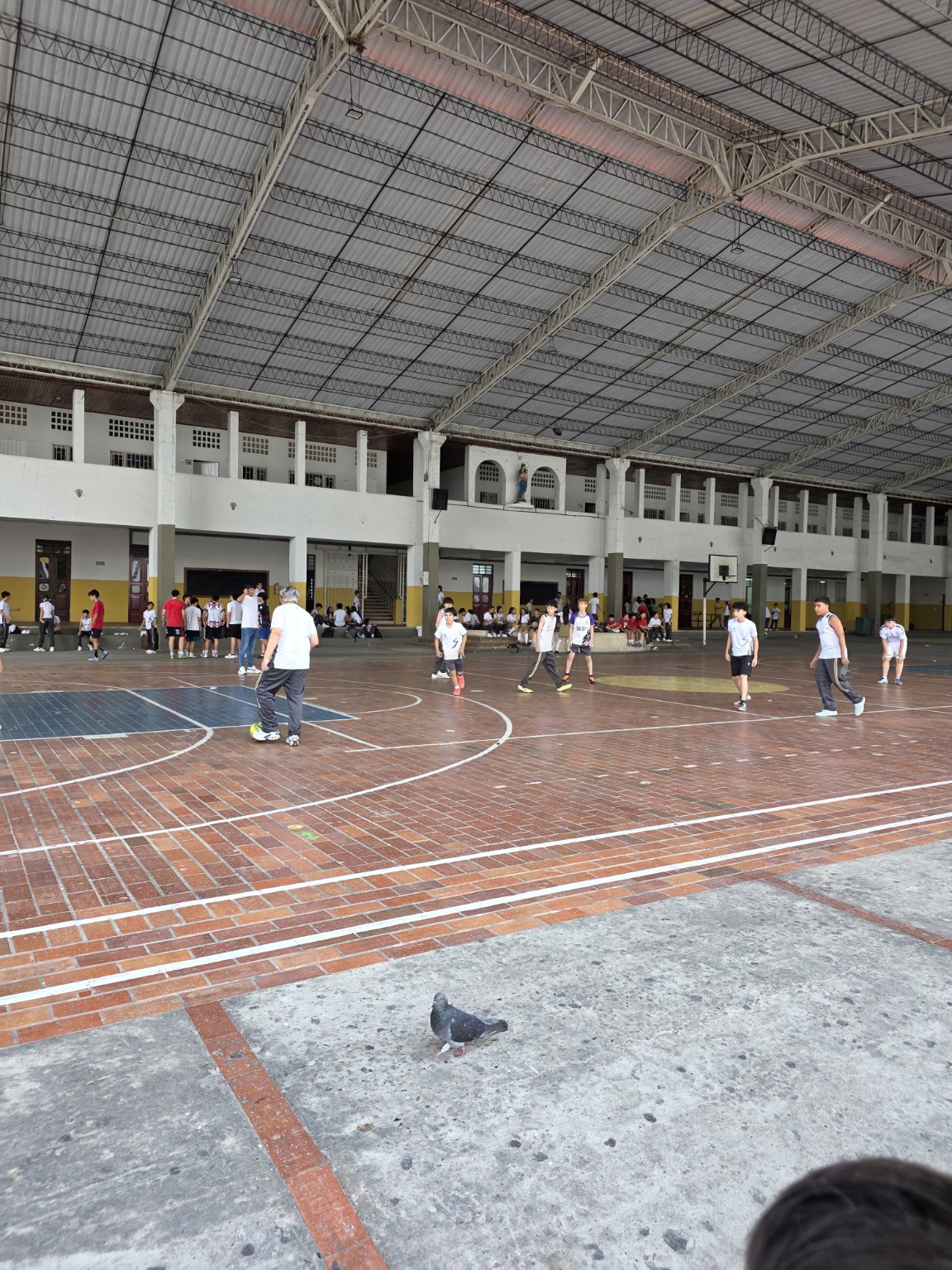 Estudiantes practicando deporte en el patio cubierto